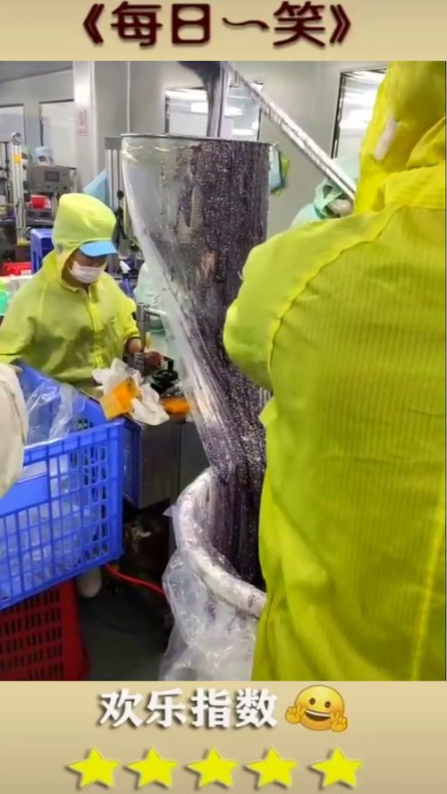揭秘化妝品生產流水線 面膜是如何被裝袋的